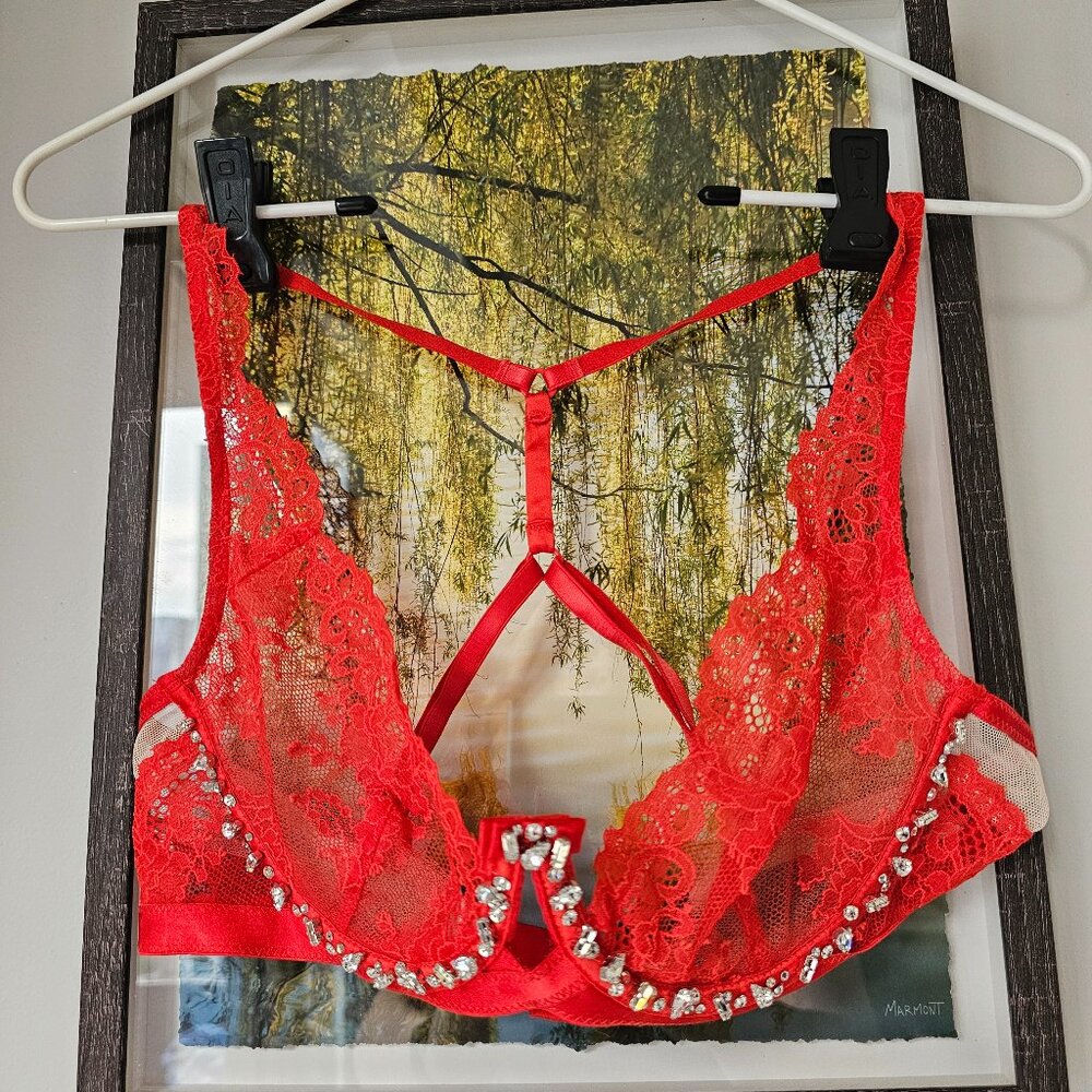 VS Red Crystal Bra